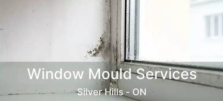  Window Mould Services Silver Hills - ON