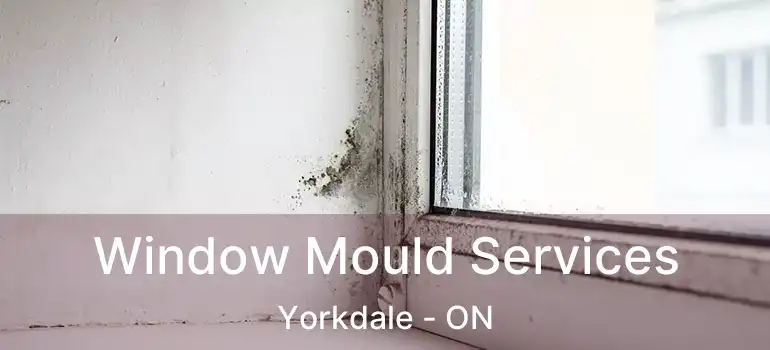  Window Mould Services Yorkdale - ON