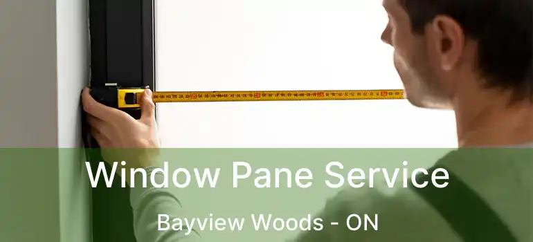  Window Pane Service Bayview Woods - ON