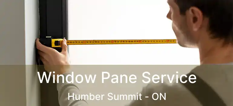  Window Pane Service Humber Summit - ON
