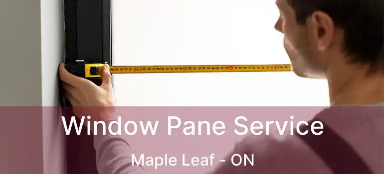  Window Pane Service Maple Leaf - ON