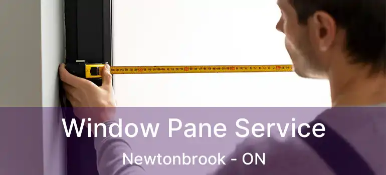  Window Pane Service Newtonbrook - ON