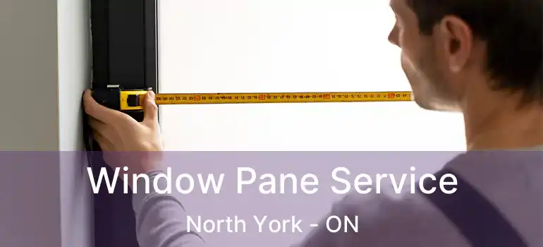  Window Pane Service North York - ON