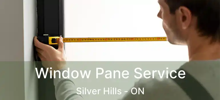  Window Pane Service Silver Hills - ON