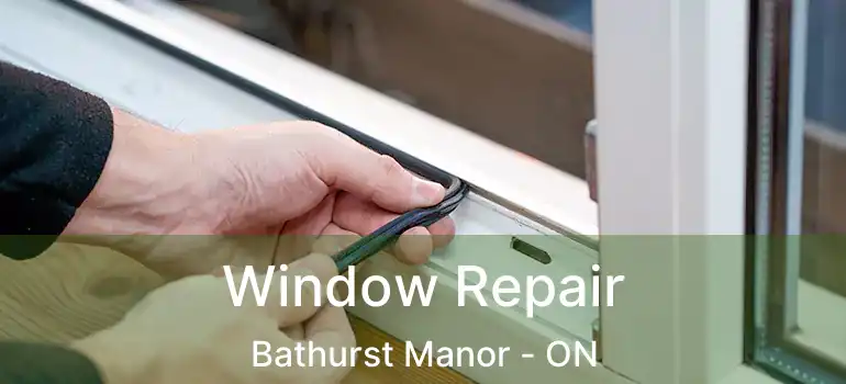  Window Repair Bathurst Manor - ON