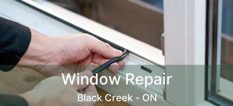  Window Repair Black Creek - ON