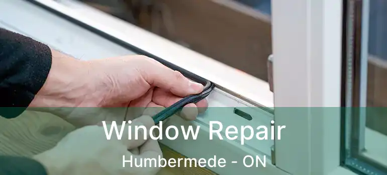  Window Repair Humbermede - ON