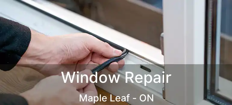  Window Repair Maple Leaf - ON
