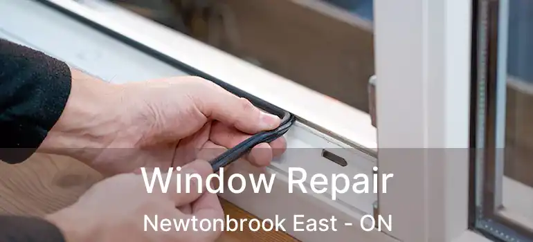  Window Repair Newtonbrook East - ON