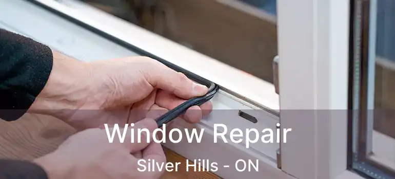  Window Repair Silver Hills - ON