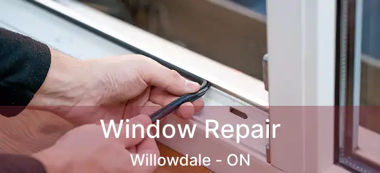  Window Repair Willowdale - ON