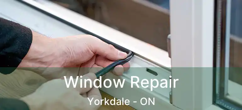 Window Repair Yorkdale - ON