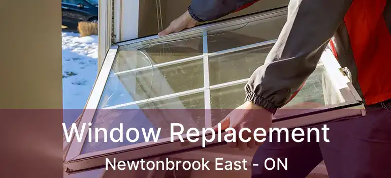  Window Replacement Newtonbrook East - ON