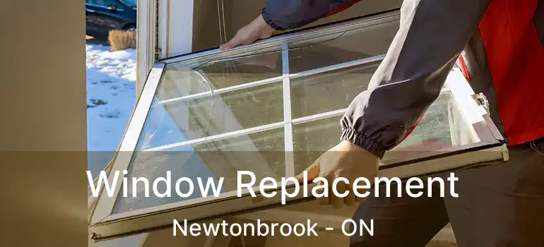  Window Replacement Newtonbrook - ON