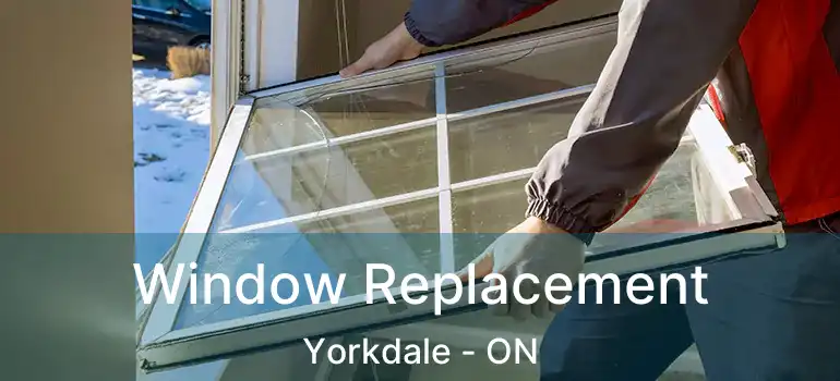  Window Replacement Yorkdale - ON