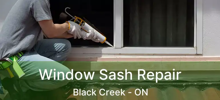  Window Sash Repair Black Creek - ON