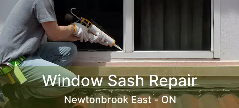  Window Sash Repair Newtonbrook East - ON