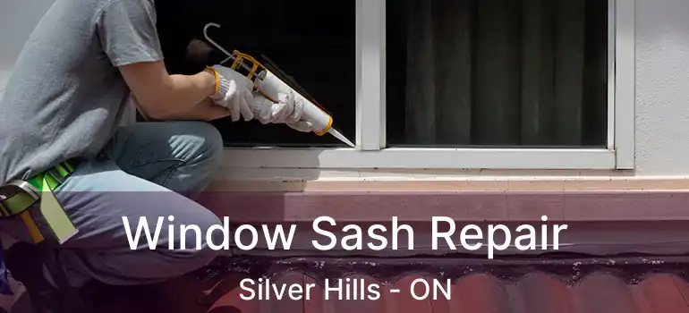  Window Sash Repair Silver Hills - ON