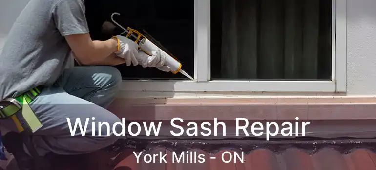  Window Sash Repair York Mills - ON