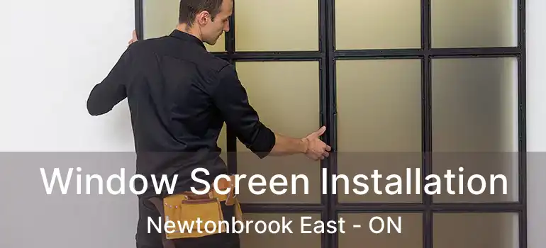  Window Screen Installation Newtonbrook East - ON