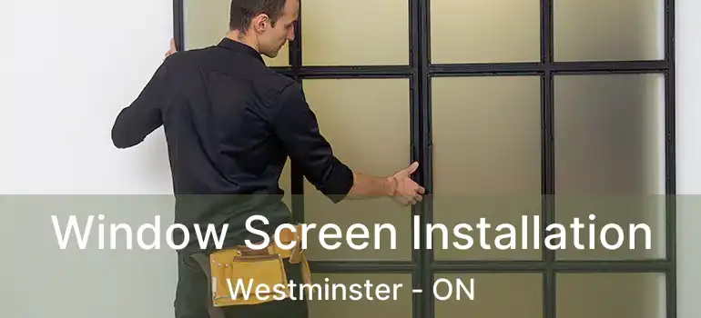  Window Screen Installation Westminster - ON
