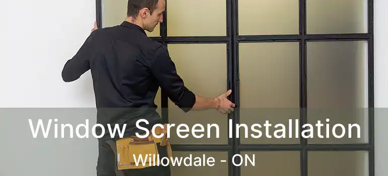  Window Screen Installation Willowdale - ON