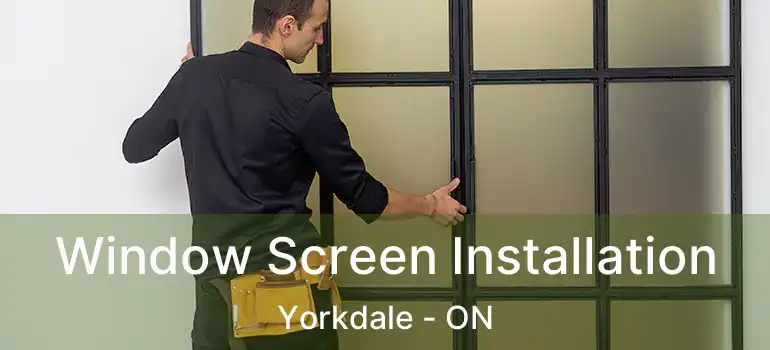  Window Screen Installation Yorkdale - ON