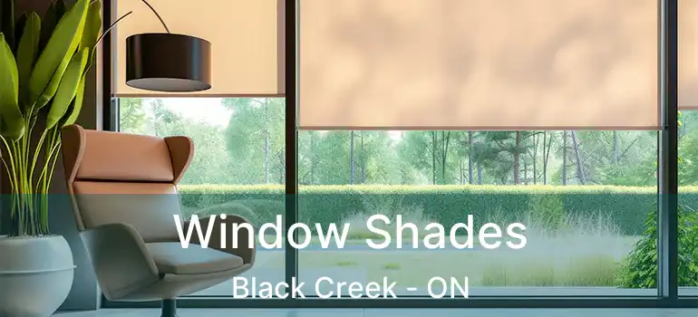  Window Shades Black Creek - ON