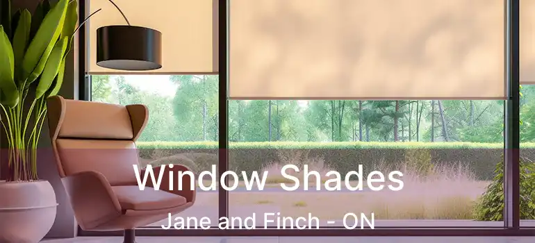  Window Shades Jane and Finch - ON