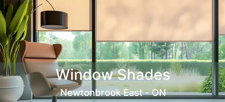  Window Shades Newtonbrook East - ON