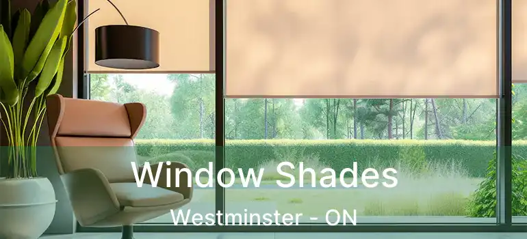  Window Shades Westminster - ON