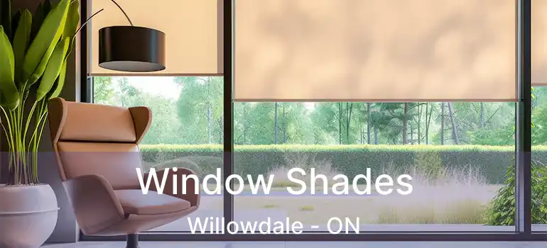  Window Shades Willowdale - ON
