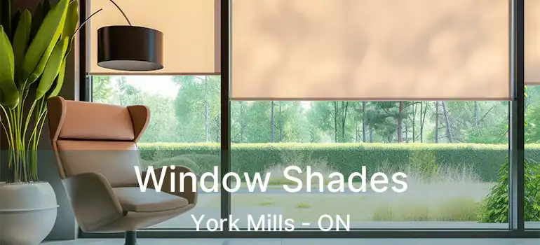  Window Shades York Mills - ON