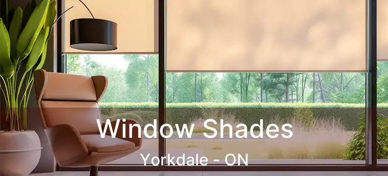  Window Shades Yorkdale - ON