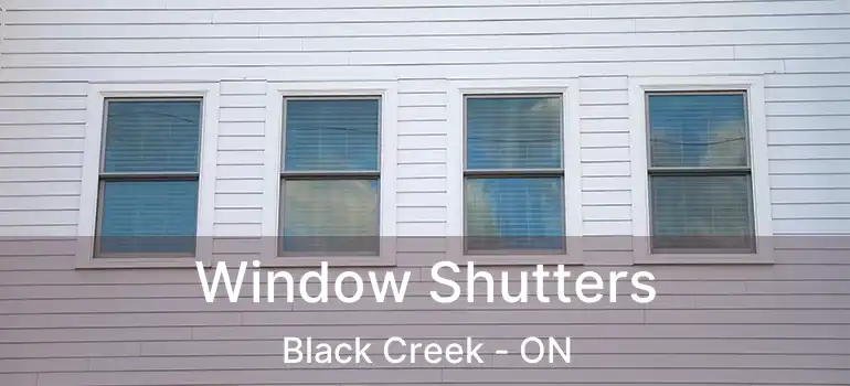  Window Shutters Black Creek - ON