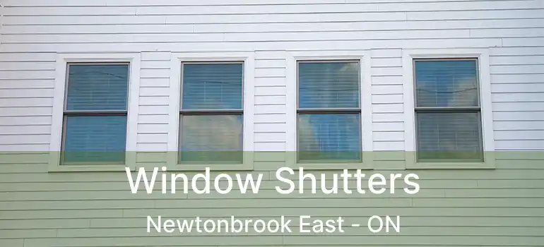  Window Shutters Newtonbrook East - ON