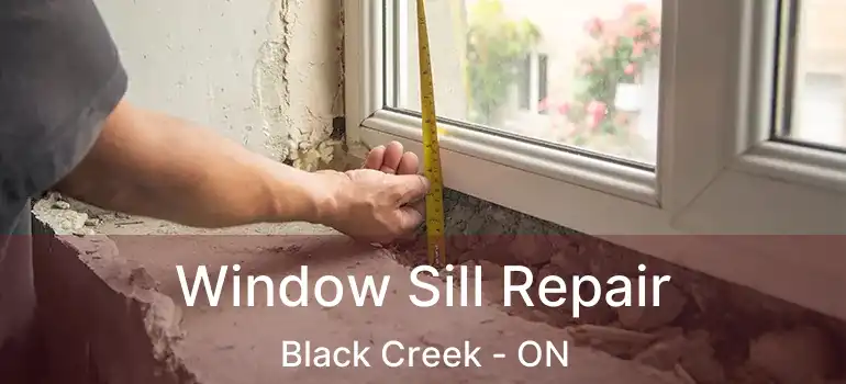  Window Sill Repair Black Creek - ON
