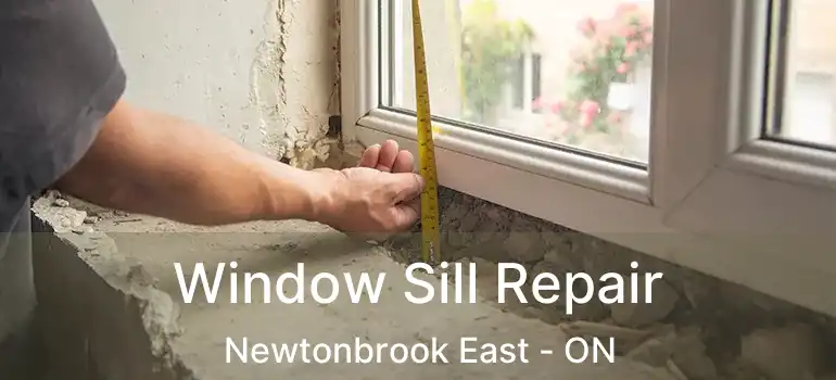  Window Sill Repair Newtonbrook East - ON