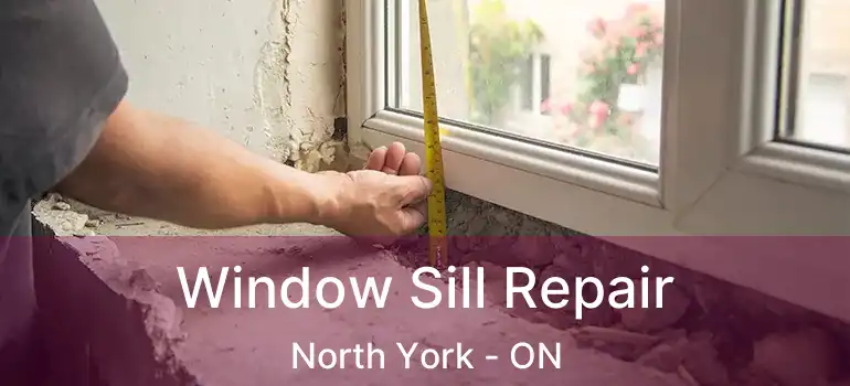  Window Sill Repair North York - ON