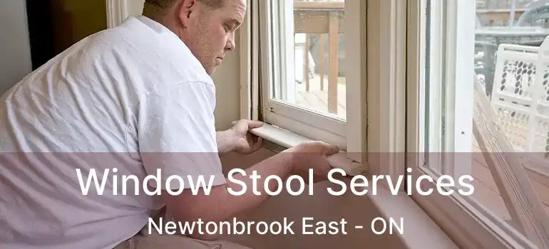  Window Stool Services Newtonbrook East - ON