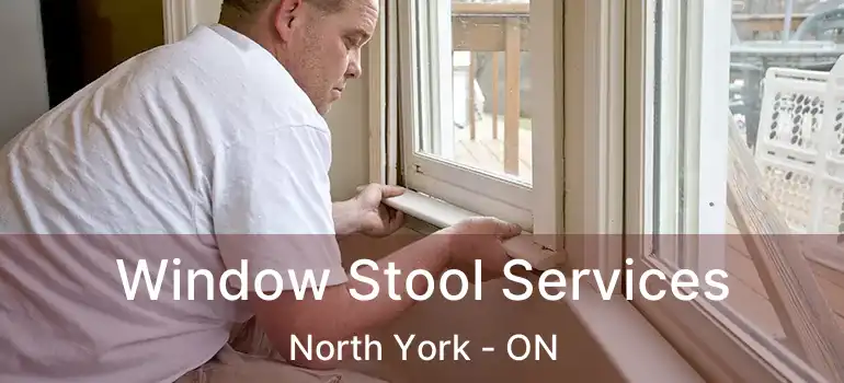  Window Stool Services North York - ON