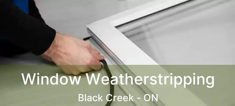  Window Weatherstripping Black Creek - ON