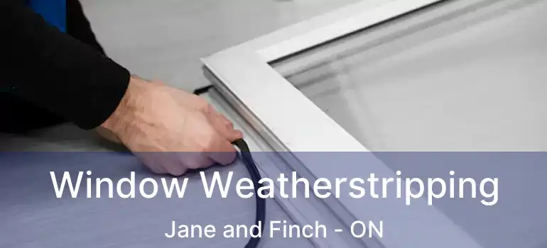  Window Weatherstripping Jane and Finch - ON