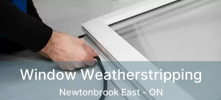  Window Weatherstripping Newtonbrook East - ON