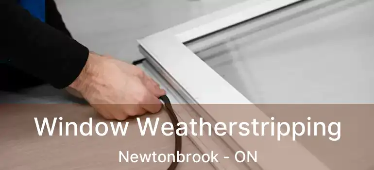  Window Weatherstripping Newtonbrook - ON