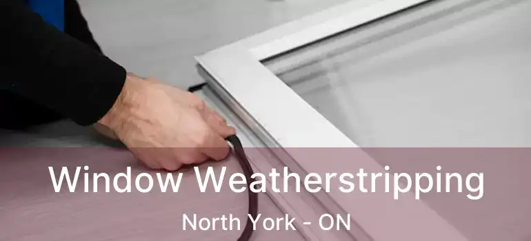  Window Weatherstripping North York - ON