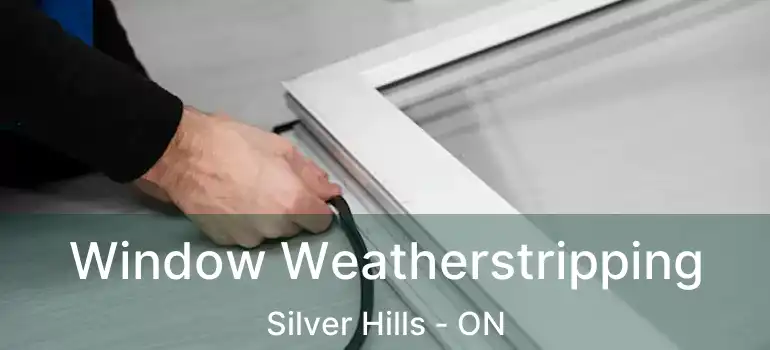  Window Weatherstripping Silver Hills - ON