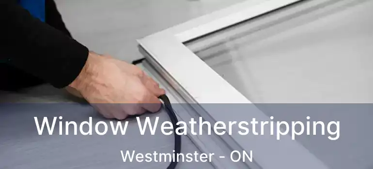  Window Weatherstripping Westminster - ON