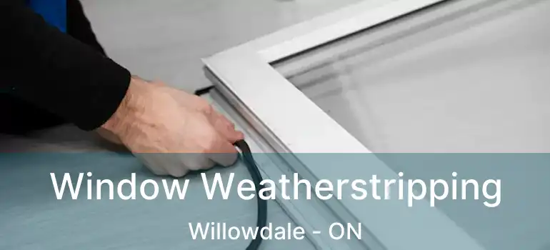  Window Weatherstripping Willowdale - ON