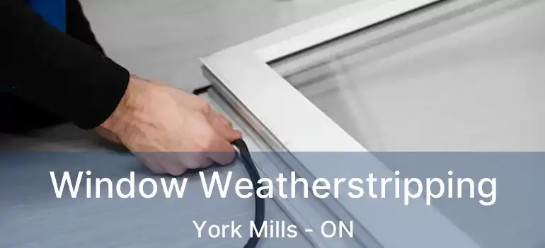 Window Weatherstripping York Mills - ON